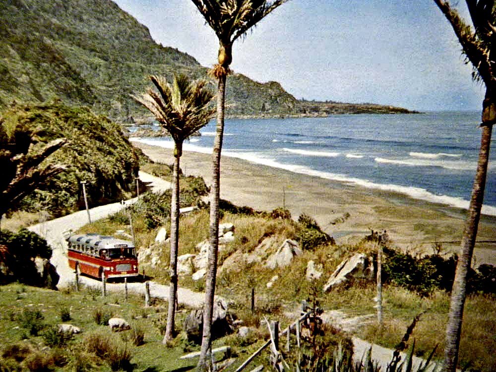 newmans-coach-limestone-creek-meybille-bay-1963-west-coast-new