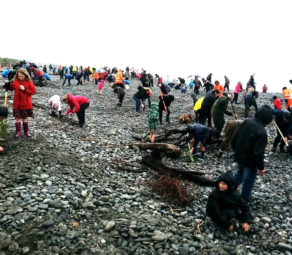 Greymouth 150th beach gold bar hunt *PHOTO ALBUM* | West Coast New ...