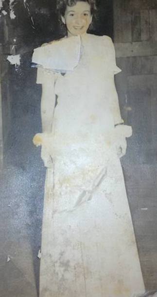 coast gertrude dress