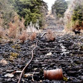 Denniston incline.2015.