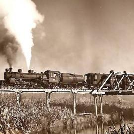  ALBUM - Railway picnic at Mahinapua.1959.  