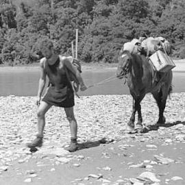 A young Fred Hollows helps bring supplies up the Waiatoto River 1953.