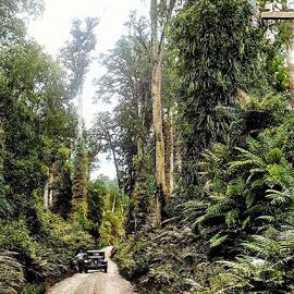 Travelling from Greymouth to Westport .1930s.