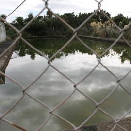 ALBUM - Millerton 2016 