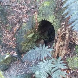 Callaghans area, Goldsborough .  -ALBUM-