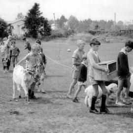 Hari Hari School Pet Day, early 1960s.