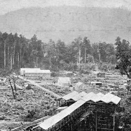  Seddonville.1905.