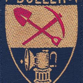 Buller Scouts badge.