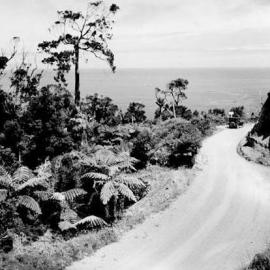 The top of Meybille Bay. ca.1920`s.