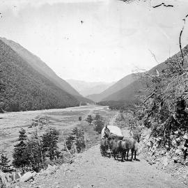 Bealey Gorge 1879