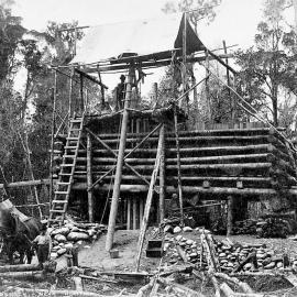 Woodstock near Hokitika,1870