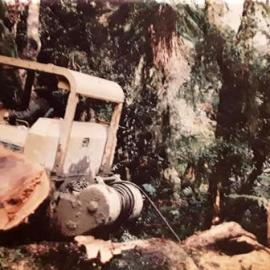 ALBUM - Logging in the Taipo valley early 1990`s.