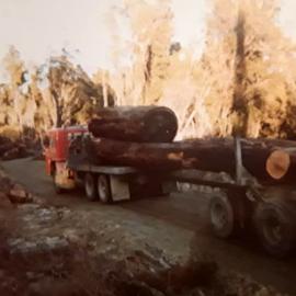 Logging at Prices Creek, 1980s *PHOTO ALBUM*