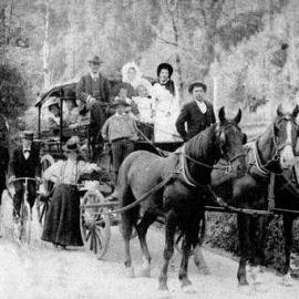 Alfred Bullen's horse drawn cab on the Black's Point to Crushington road.1901