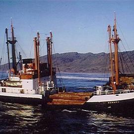 Mamaku with logs from Solomons .1973.