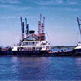 The Puriri 1965 taking coal to Raglan