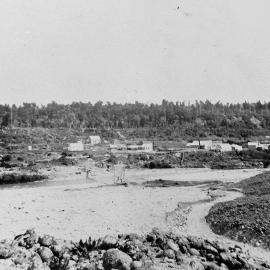 Greenstone Valley, near Kumara
