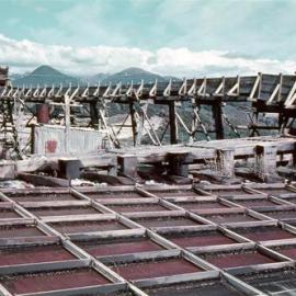 "Blow Up" Gold claim Charleston beach 1954