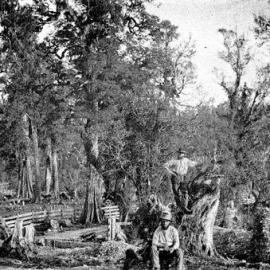 Marsden Road, near Greymouth.ca.1867-74.