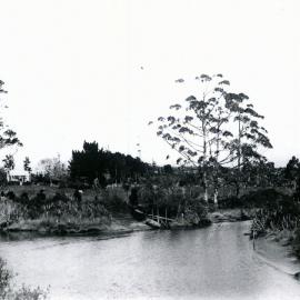 Bradshaw Creek 4 miles from Westport in Cape Foulwind Railway