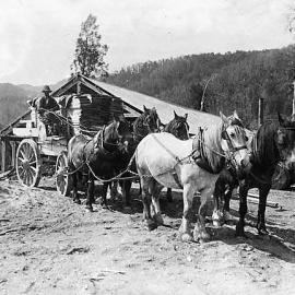 Sawmill  - Four River Plain, Murchison.