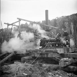 Steam winch for logging, Buller 1938.