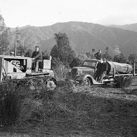 Tree felling Buller District 1940