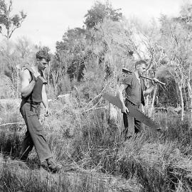 Timber felling, Buller District 1940