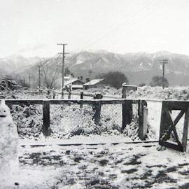This photo was taken from front yard of Post Office and  shows Mill workshops.Te Kinga.1960`s. 