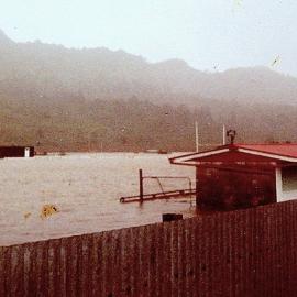 Wingham Park under flood.