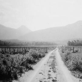 On the road to Maruia Spring - Mt Haast is the high peak. 1930s