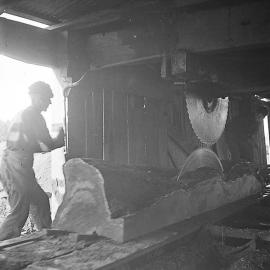 Sawmill Buller District 1938