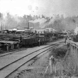 Ruru Sawmill.1900`s.