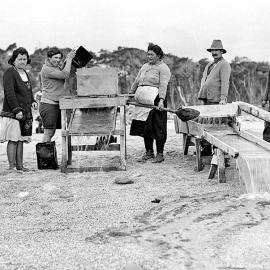  Hunts Beach Gold, Westland.
