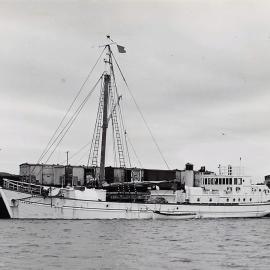 MV Piri, owned by Nobel Explosives of Melbourne Australia in Greymouth 1950s.