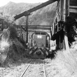 An album of Rewanui photos.