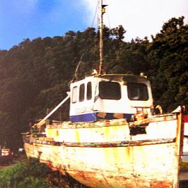 An old boat high and dry at Jackson Bay, date unknown.