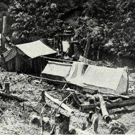 ALBUM - Surveyor's camp at Little Wanganui Wharf . 1911.    