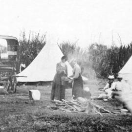 Campsite beside West Coast road