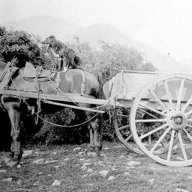 Horse and cart, Turiwhate Valley.