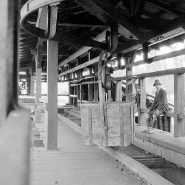 Blackball Coal Co., coal bins at Ngahere 1909.