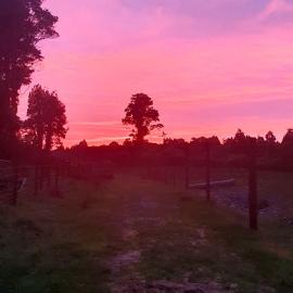 Australian Bushfires affecting skies on the West Coast.1960`s.