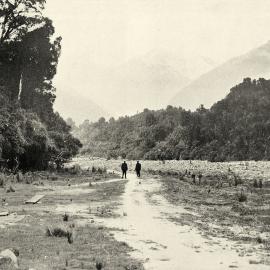 Looking up towards Callery Gorge, Waiho. ca.1905.