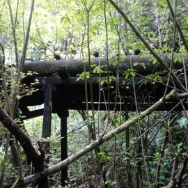Abandoned twin pipe trestle from the "old" Amethyst Power scheme