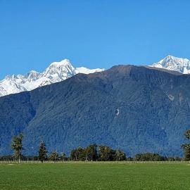 Westland Southern Alps from Clearwater Flats.ca.1960`s