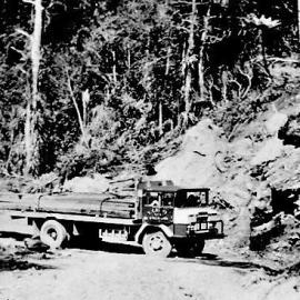Crofts carting timber to Alpine Mine, Ten Mile.