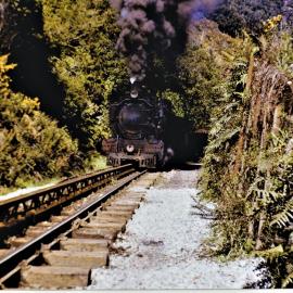 Train on the Rewanui Line.
