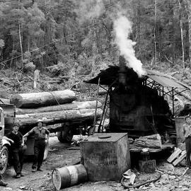 Hahns Bush Craigeburn - logging.1960`s.