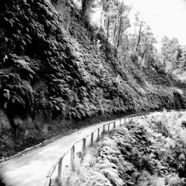 Westport to Greymouth road.  ca.1930-1940.  - 2 PHOTOS -