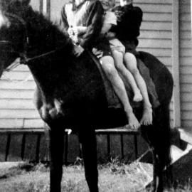 Gillman brothers Joe, Alan and Gary on Joe's horse Cobber.